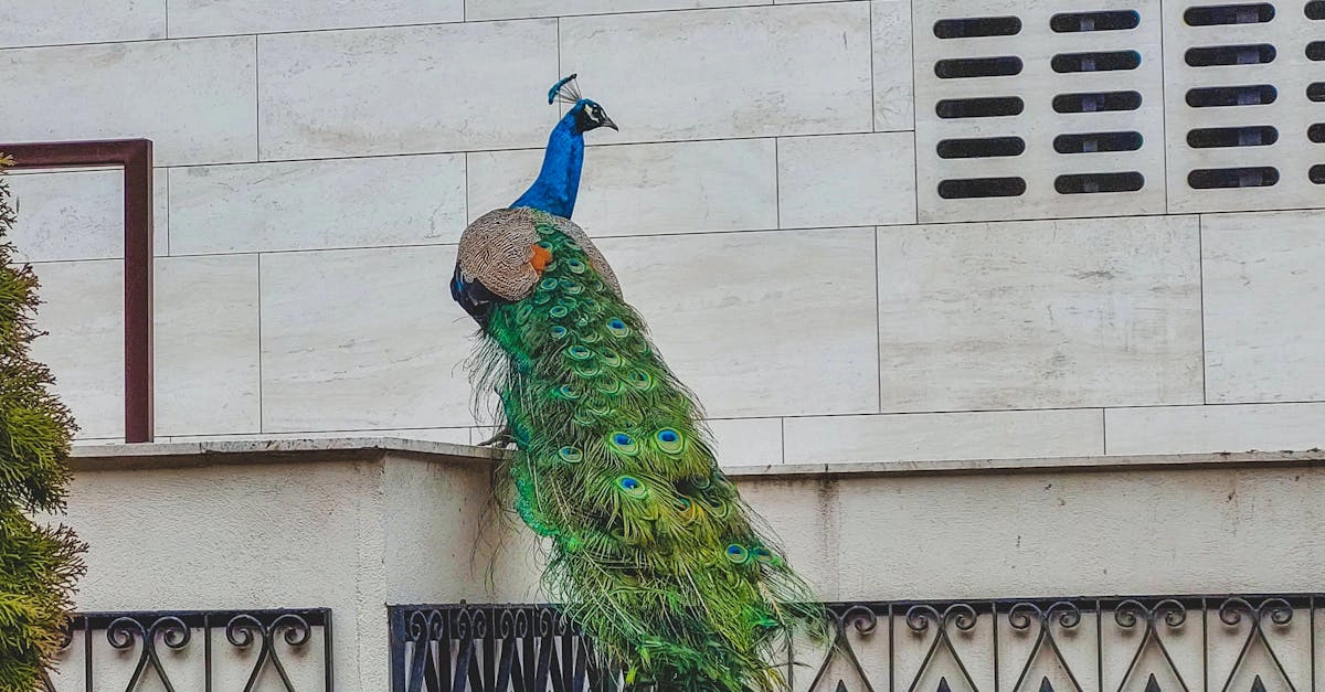 Анималистический принт Great Rhino в модных образах 2024 года